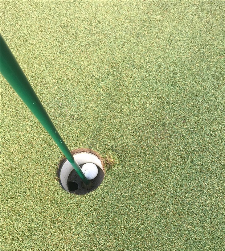 7 holes in one, all with a ProV1